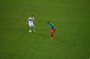 乐鱼体育APP官方下载-国乒奖金出炉，王艺迪喜提28万成大赢家！陈幸同仅获3万，奖金分配引热议